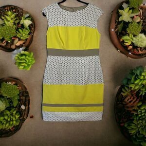 Sandra Darren Women's Colorblock Sleeveless Lace Sheath Dress Multicolor Size 6